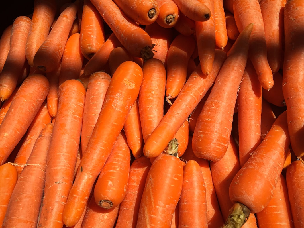 Alimenti sani per la visione